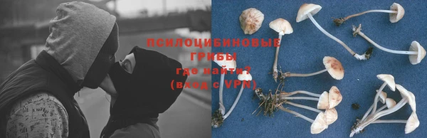 ГАЛЛЮЦИНОГЕННЫЕ ГРИБЫ Новокубанск