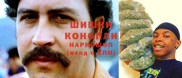 ГАЛЛЮЦИНОГЕННЫЕ ГРИБЫ Новокубанск